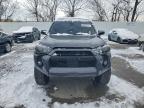 Lot #3303720425 2023 TOYOTA 4RUNNER SE