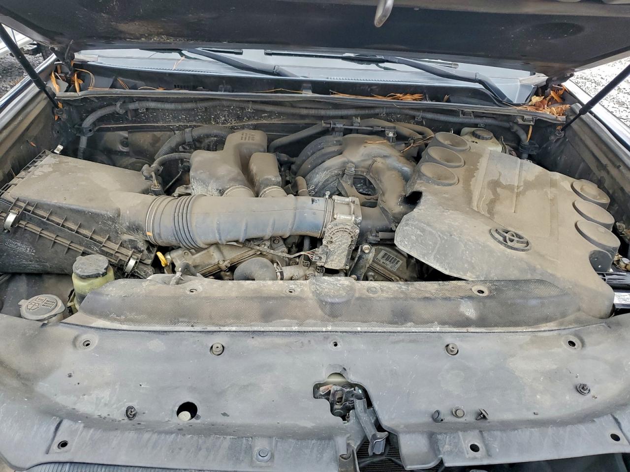 Lot #3309583615 2010 TOYOTA 4RUNNER SR