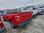 Lot #3304514450 2013 FORD F150
