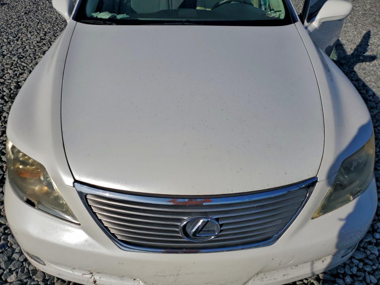 Lot #3316011822 2007 LEXUS LS 460L