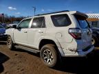 Lot #3318995320 2024 TOYOTA 4RUNNER SR