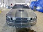 Lot #3312653172 2009 FORD MUSTANG GT