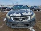Lot #3303946691 2009 HONDA ACCORD EXL