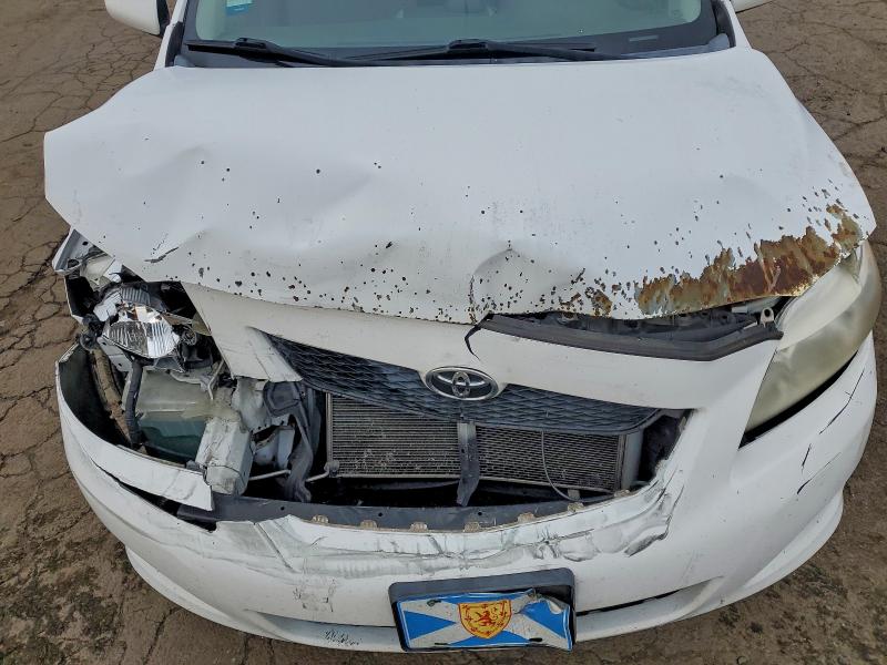 2010 TOYOTA COROLLA BA #3311461300