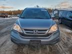 Lot #3304602506 2011 HONDA CR-V EXL