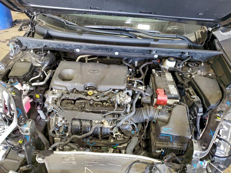 2025 TOYOTA RAV4 XLE #3316878117