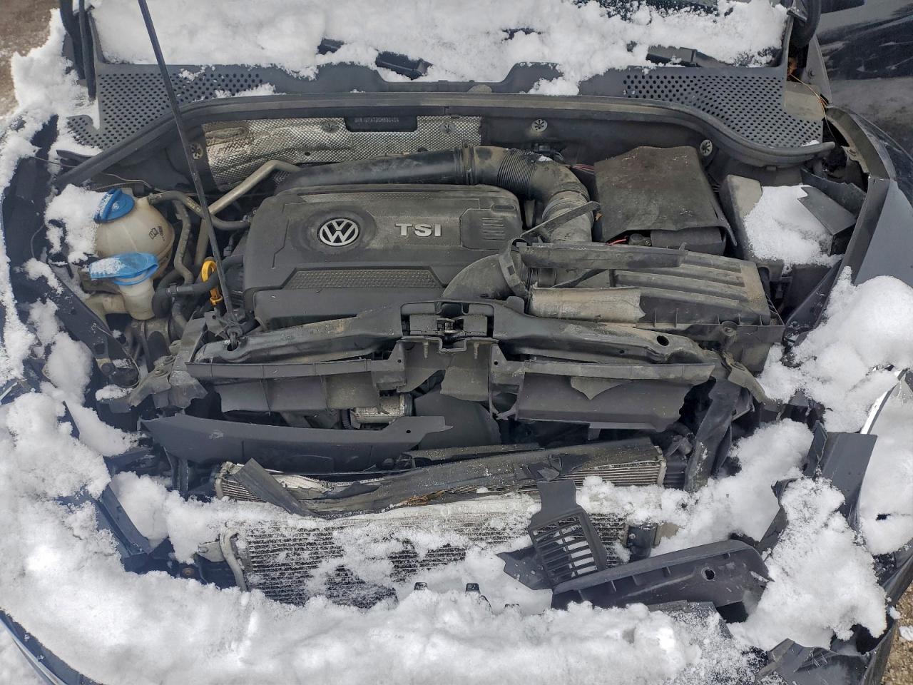 VOLKSWAGEN BEETLE SE