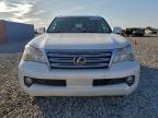 Lot #3305422458 2013 LEXUS GX 460