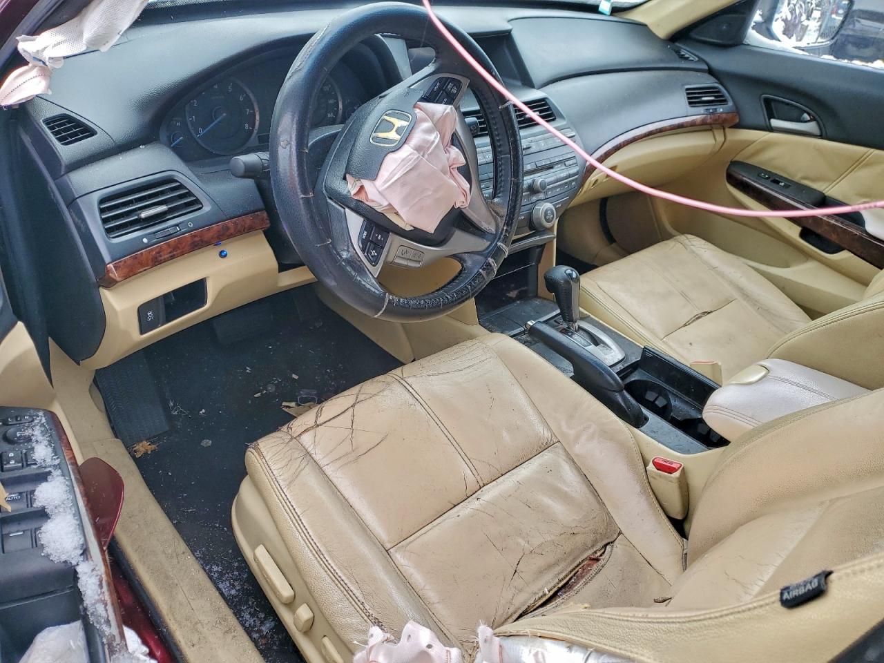 Lot #3317170133 2010 HONDA ACCORD CRO