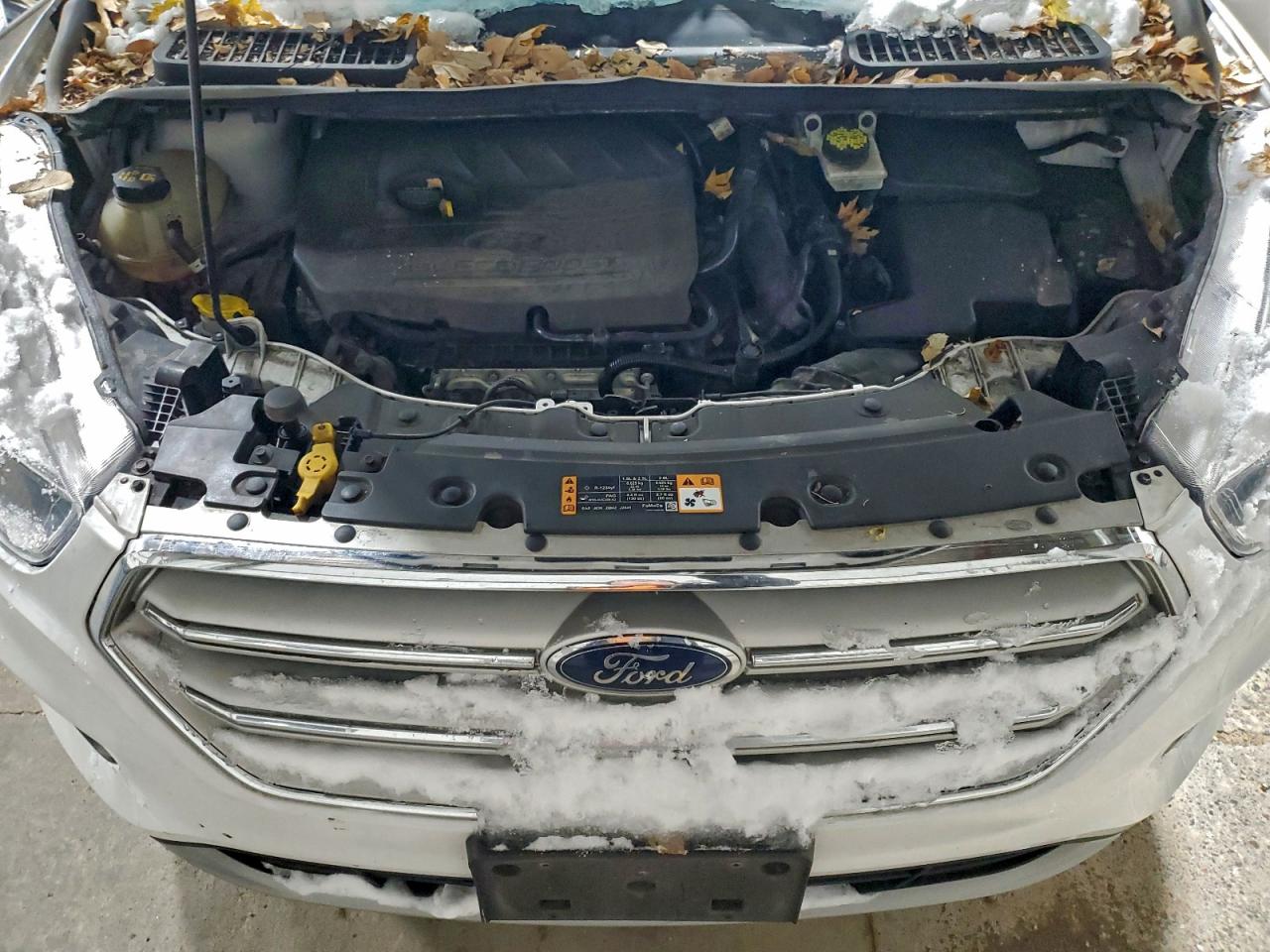 Lot #3315897114 2018 FORD ESCAPE SE