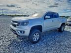 Lot #3310440305 2019 CHEVROLET COLORADO