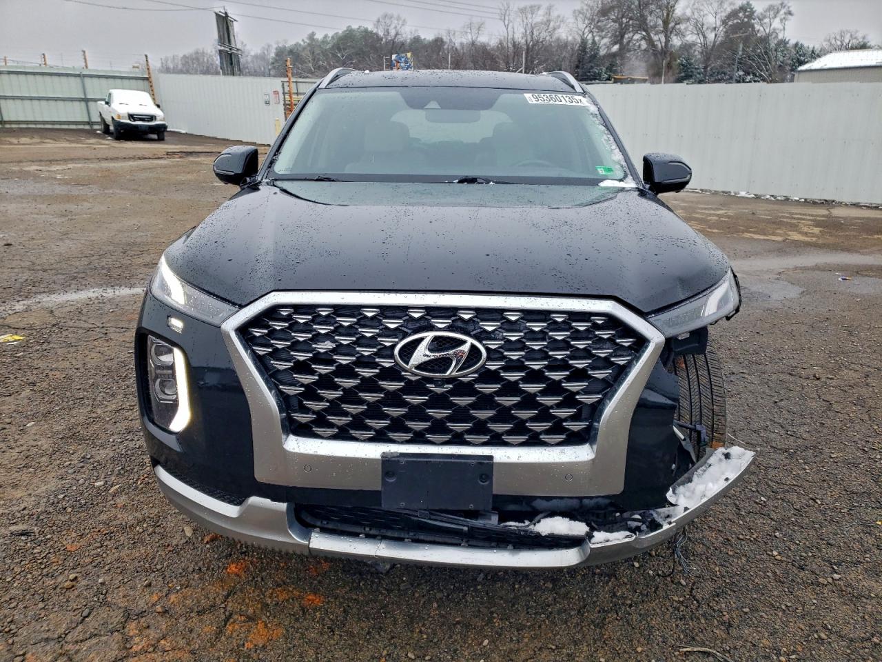 HYUNDAI PALISADE CALLIGRAPHY