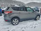 Lot #3302649038 2013 FORD ESCAPE SE
