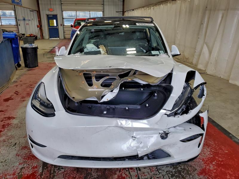2020 TESLA MODEL Y #3305583099