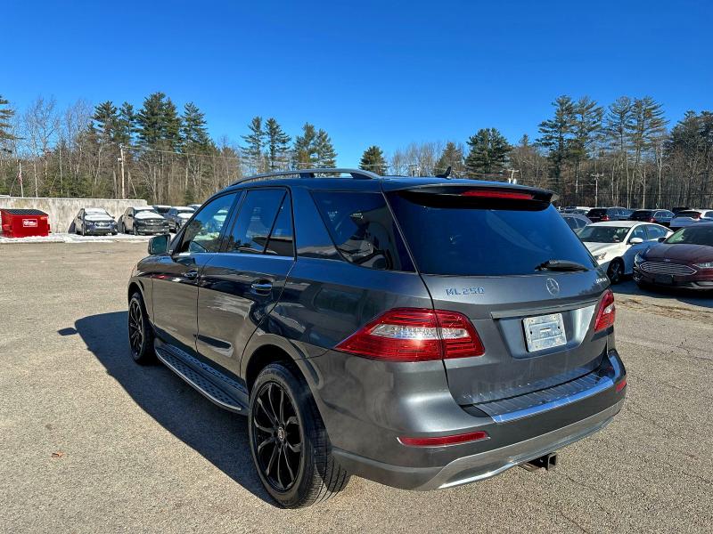2015 MERCEDES-BENZ ML 250 BLU #3310504048