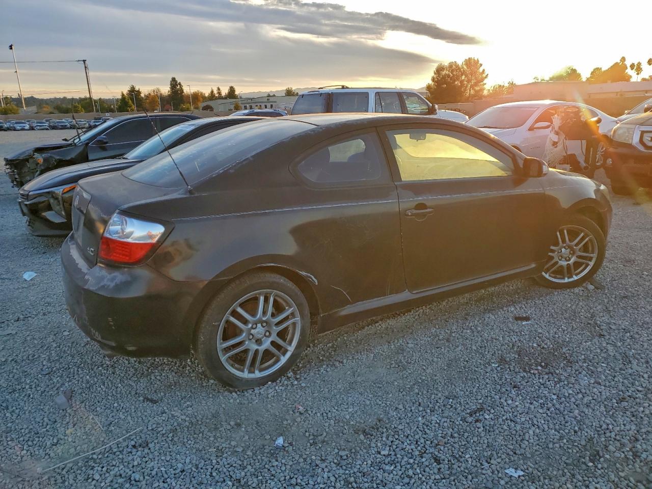 Lot #3304170458 2009 TOYOTA SCION TC