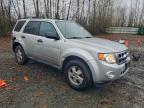 Lot #3308559558 2010 FORD ESCAPE XLT