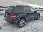 Lot #3310363968 2009 MERCEDES-BENZ ML 350