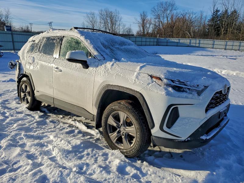 2023 TOYOTA RAV4 XLE #3315732372