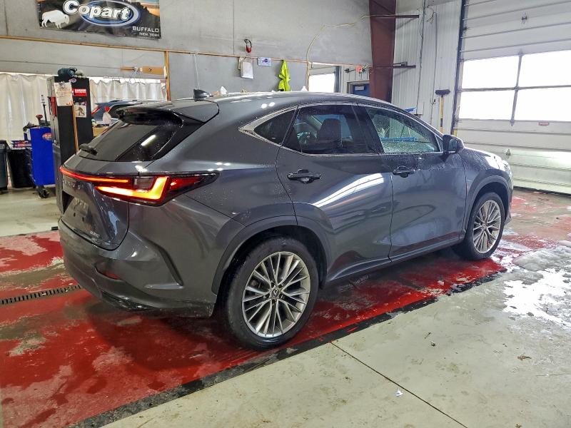 2024 LEXUS NX 350 LUX #3305421462