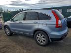 Lot #3317433613 2009 HONDA CR-V EXL