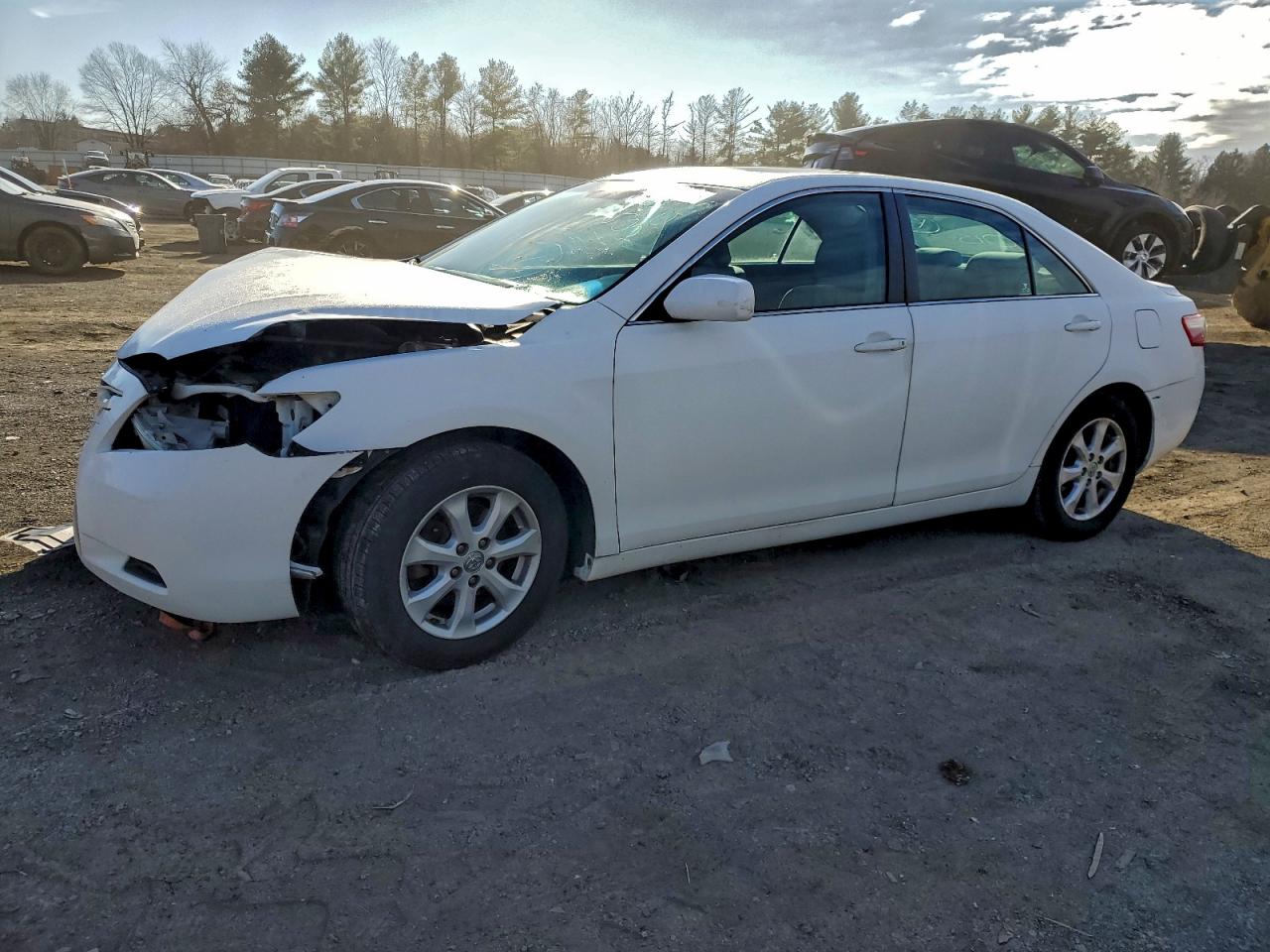 Lot #3315947135 2009 TOYOTA CAMRY BASE