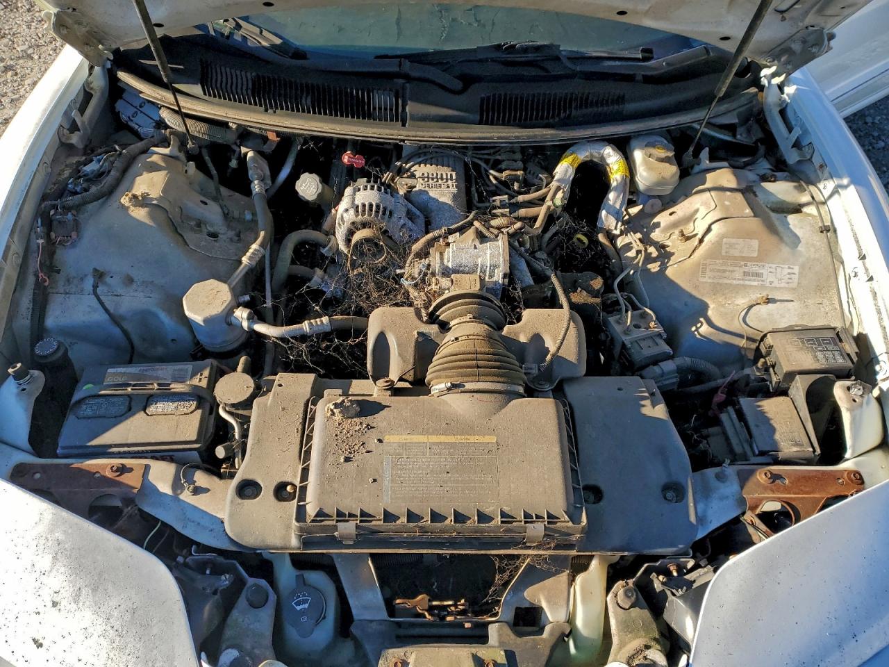 Lot #3316014792 2002 PONTIAC FIREBIRD