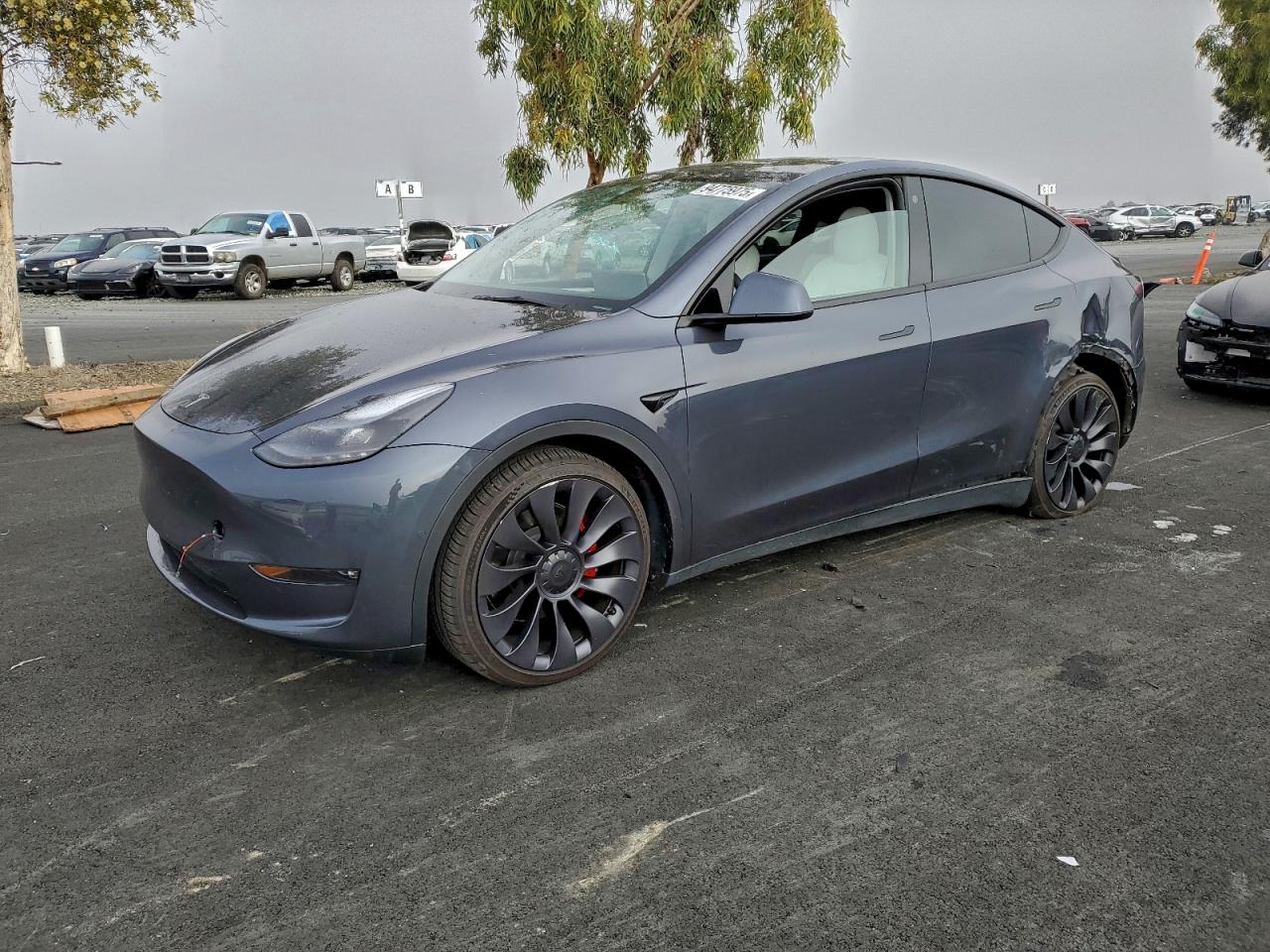 TESLA MODEL Y