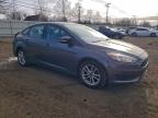 Lot #3308214337 2016 FORD FOCUS SE