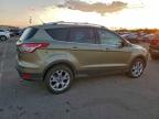 Lot #3312586182 2014 FORD ESCAPE TIT