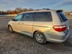 Lot #3305427473 2006 HONDA ODYSSEY TO