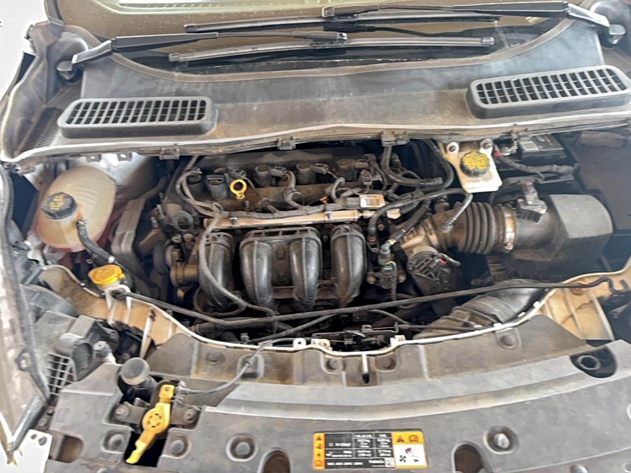 Lot #3317763076 2019 FORD ESCAPE S