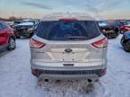 Lot #3316722468 2016 FORD ESCAPE SE