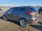 Lot #3303988723 2015 FORD ESCAPE SE