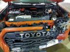 Lot #3319891153 2024 TOYOTA TUNDRA CRE
