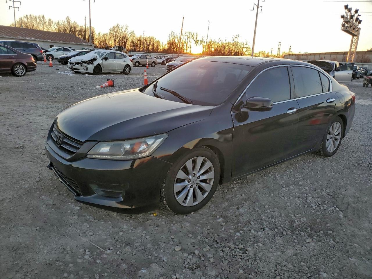 HONDA ACCORD EXL
