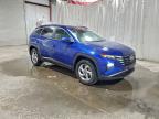 Lot #3316771453 2024 HYUNDAI TUCSON SEL