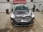 Lot #3315843159 2019 FORD ESCAPE SE