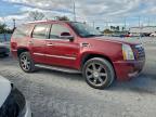 Lot #3304523458 2009 CADILLAC ESCALADE L