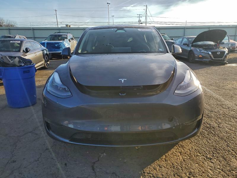 2023 TESLA MODEL Y #3301892555