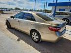 Lot #3315604787 2009 TOYOTA CAMRY BASE