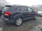 Lot #3305640764 2011 KIA SORENTO EX