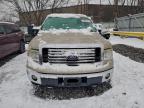 Lot #3304692936 2010 FORD F150 SUPER