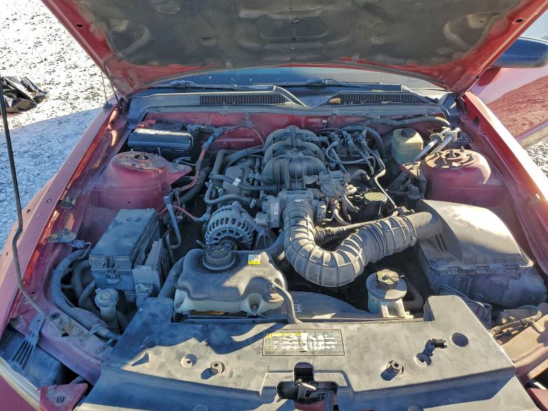 2006 FORD MUSTANG #3311595769