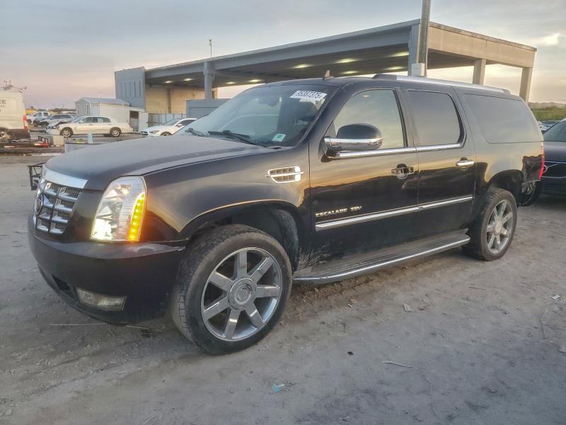 2014 CADILLAC ESCALADE E #3312463645