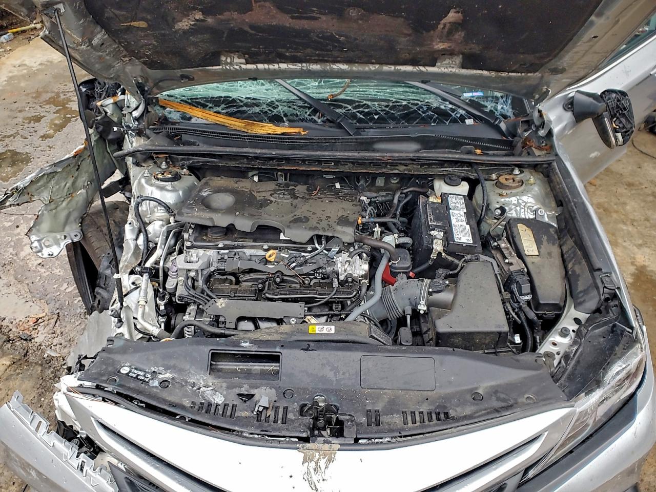 Lot #3316793404 2023 TOYOTA CAMRY SE N