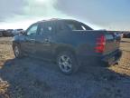 Lot #3301945453 2013 CHEVROLET AVALANCHE