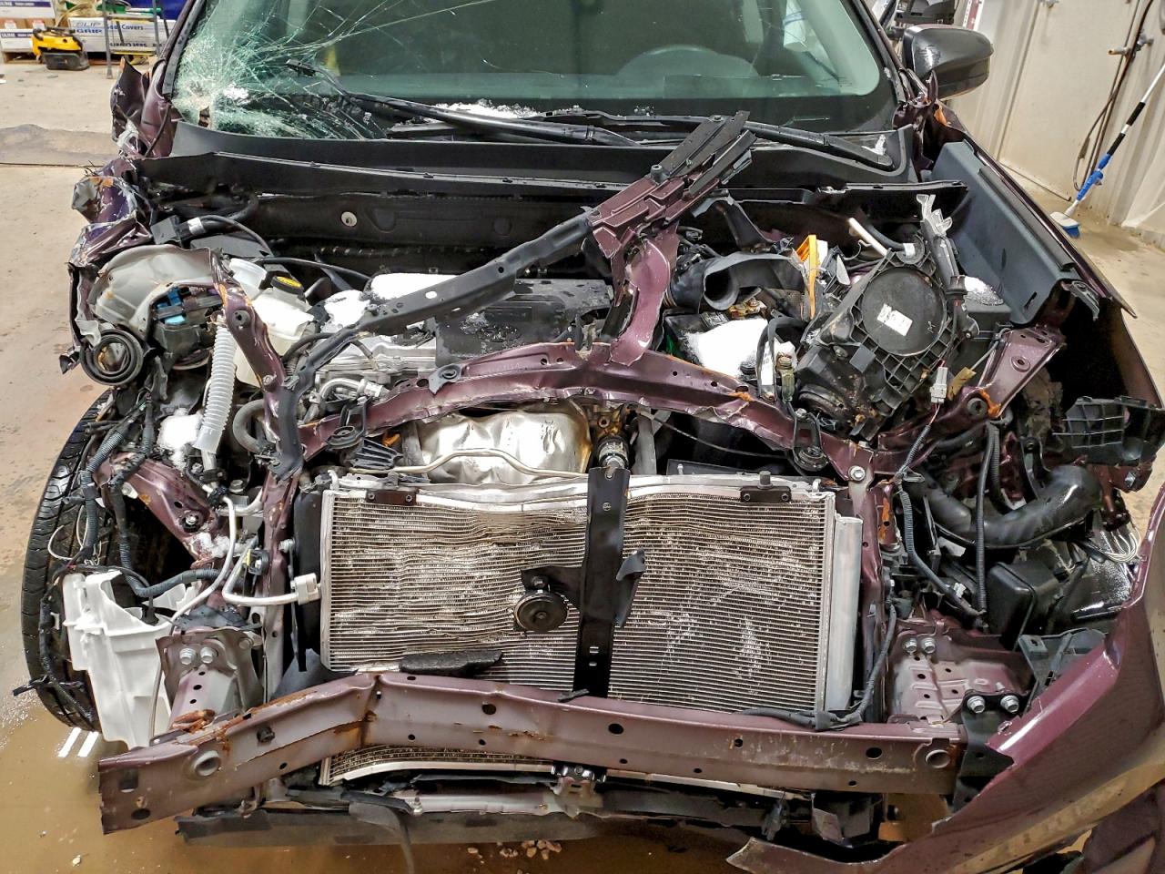 Lot #3304626947 2017 TOYOTA RAV4 LE