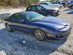 Lot #3303819438 2002 PONTIAC FIREBIRD