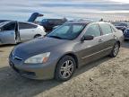 Lot #3304131503 2006 HONDA ACCORD EX